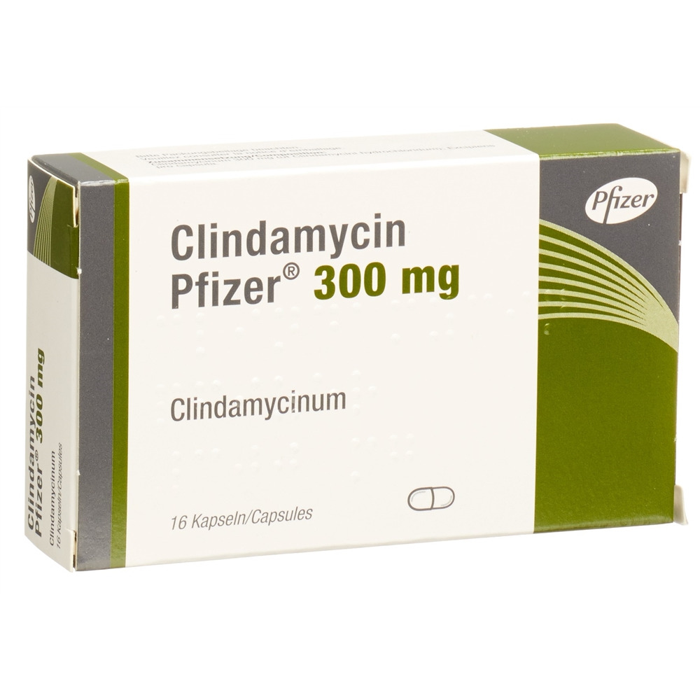 CLINDAMYCINE Pfizer 300 mg, image principale