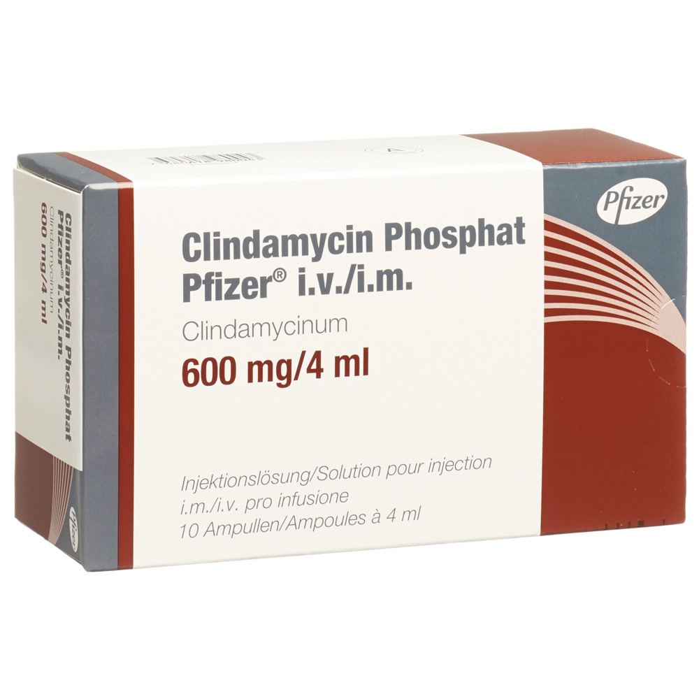 CLINDAMYCINE PHOSPHATE Pfizer 600 mg/4ml, image principale