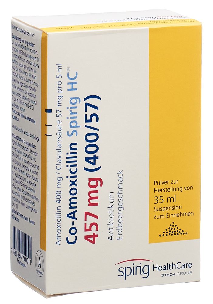 , immagine principale , immagine principale