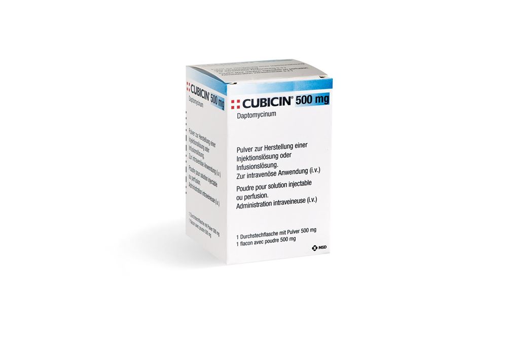 CUBICIN subst sèche 500 mg flac 1 pce, image principale