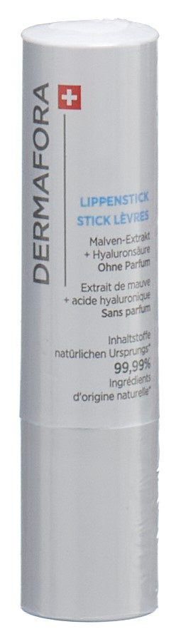 DERMAFORA HYD stick lèvres