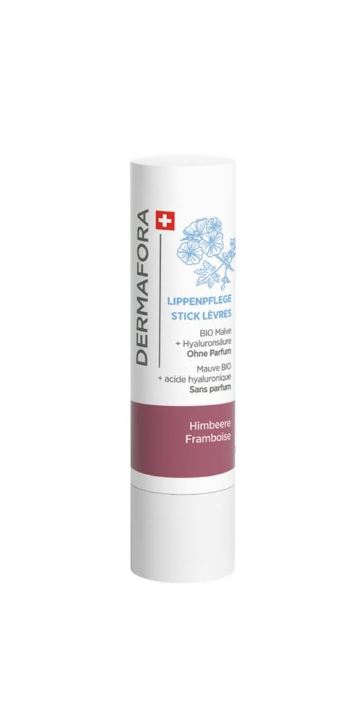 DERMAFORA stick lèvres
