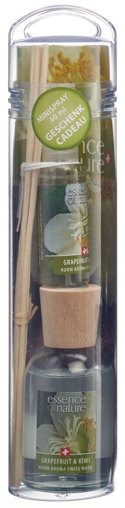 ESSENCE OF NATURE Classic Room Aroma Sticks