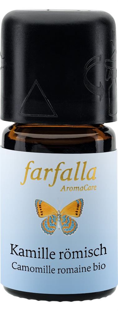 Farfalla Camomille romaine