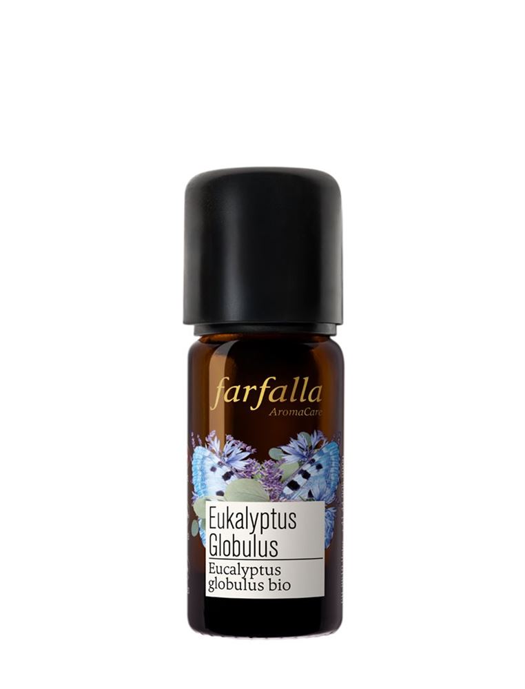 Farfalla Eucalyptus globulus