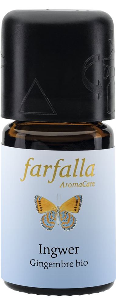 Farfalla Gingembre, image principale