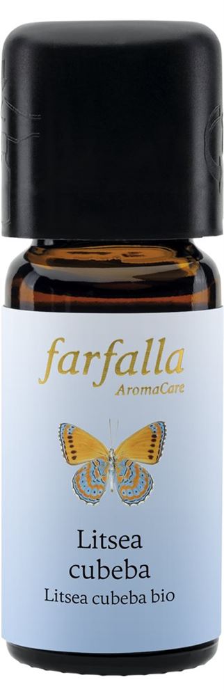 Farfalla Litsea cubeba, image principale