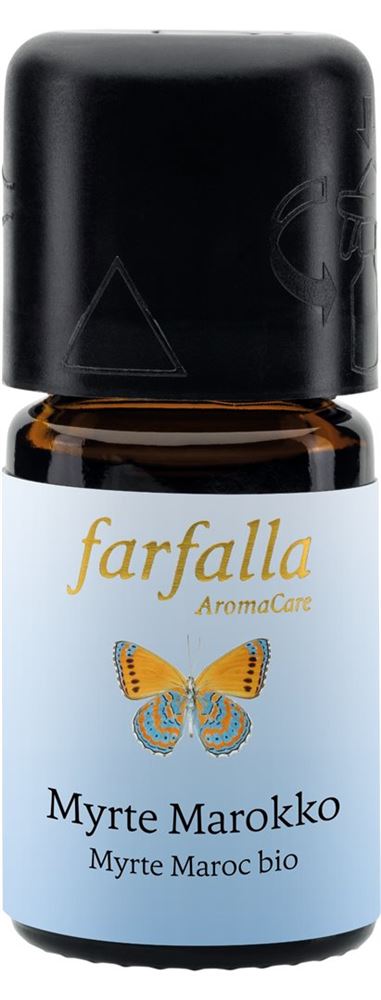 Farfalla Myrte Maroc