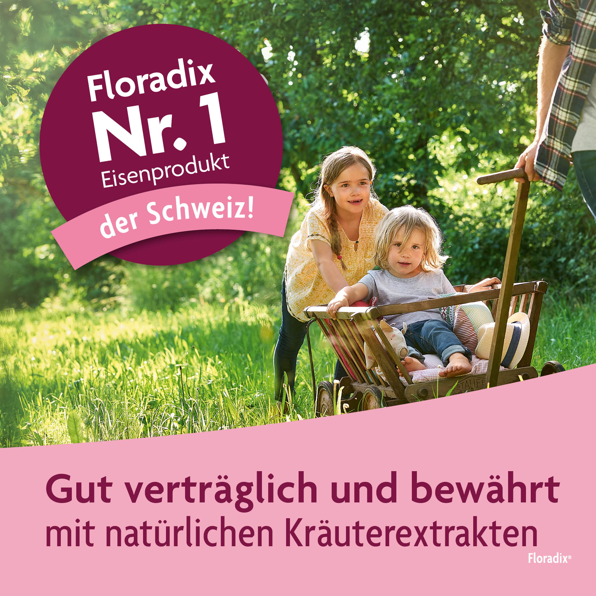 Floradix Eisen + Vitamine für Kinder, Bild 3 von 6