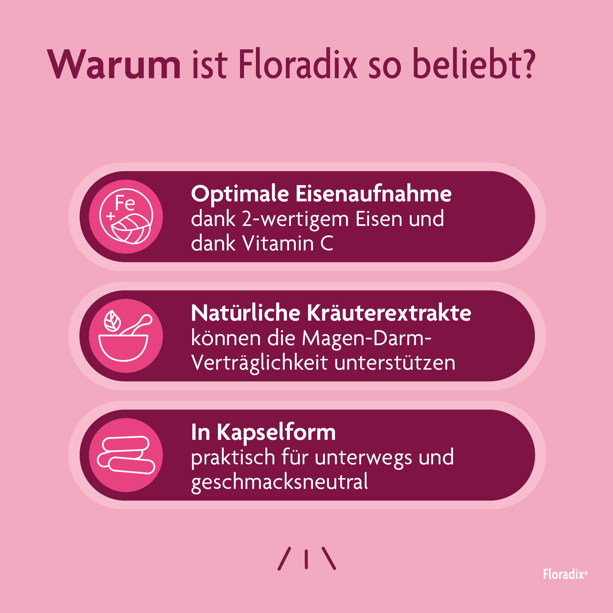 Floradix Eisen + Vitamine, Bild 4 von 5