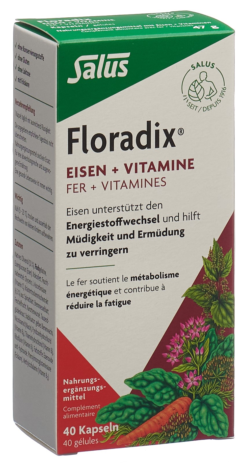 Floradix Eisen + Vitamine, Hauptbild