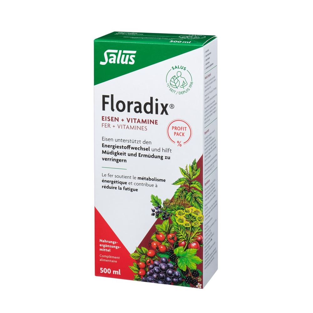 Floradix Eisen + Vitamine, Hauptbild