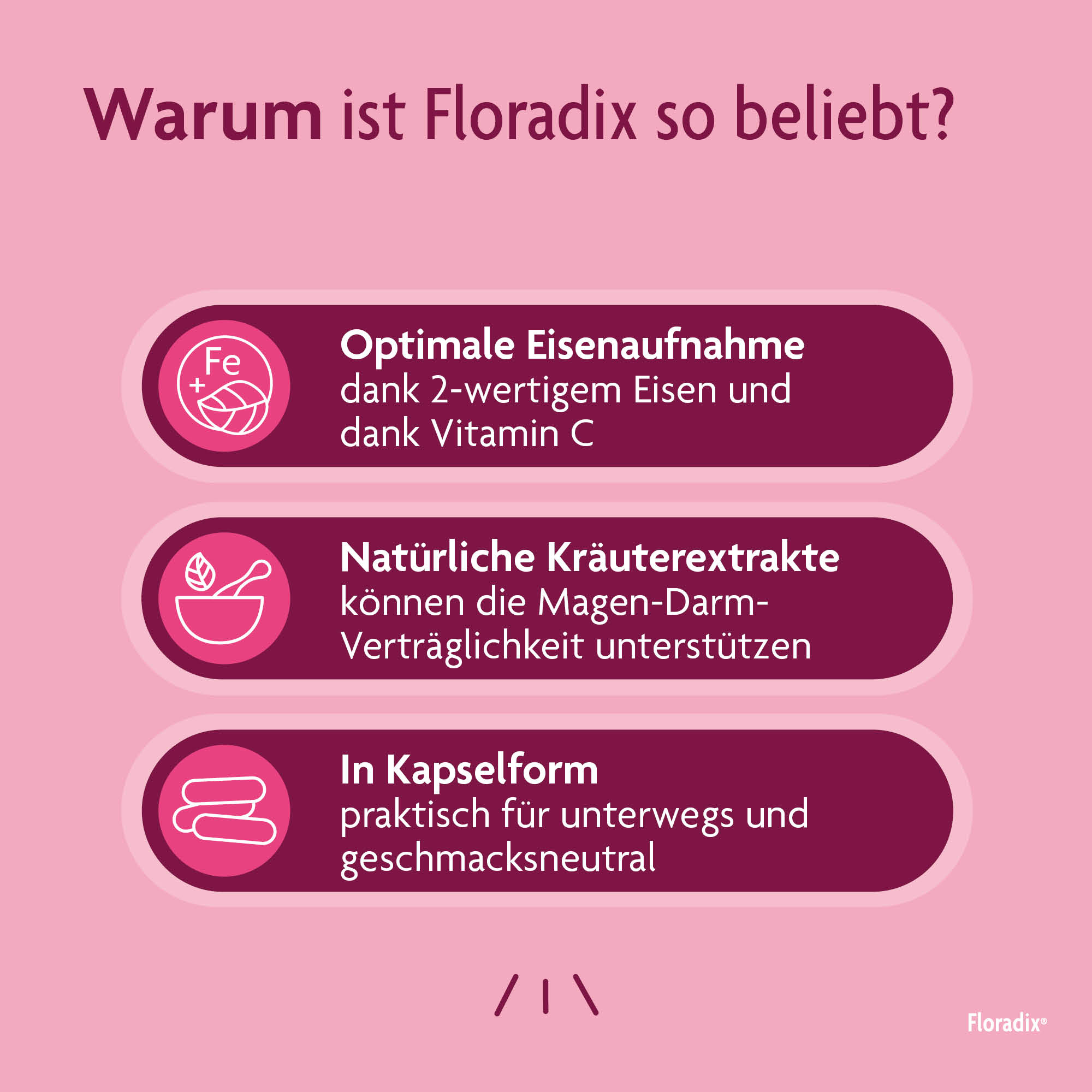 Floradix VEGAN Eisen + Vitamin B12, Bild 4 von 6