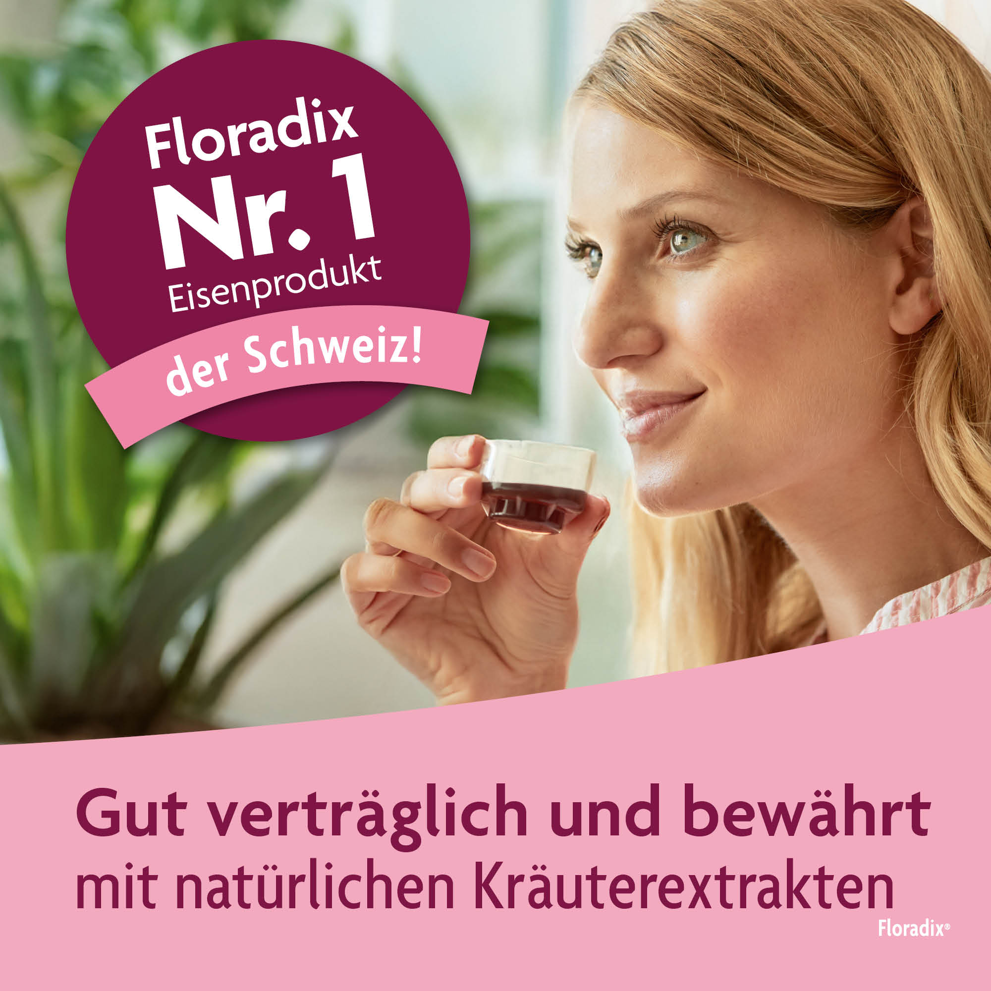 Floradix VEGAN Eisen + Vitamine, Bild 3 von 6