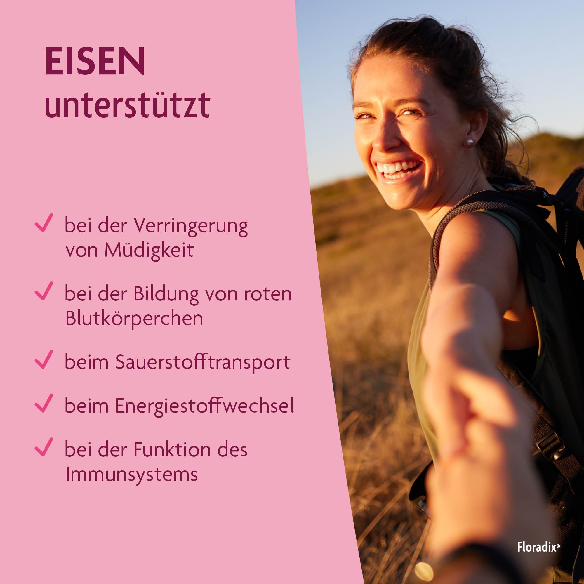 Floradix VEGAN Eisen + Vitamine, Bild 5 von 6