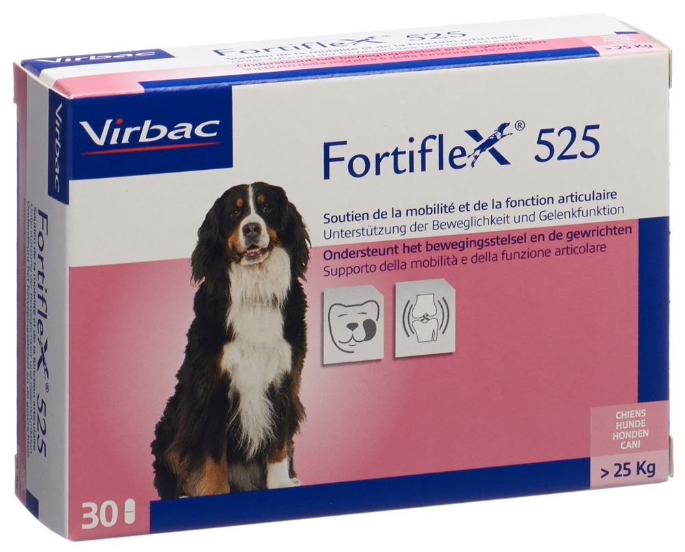 Fortiflex cpr 525 mg blist 30 pce