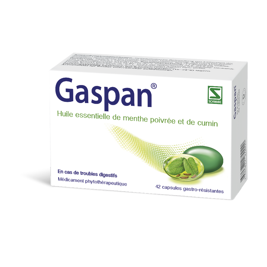 GASPAN caps moll gastro-résistantes blist 42 pce, image 2 sur 5