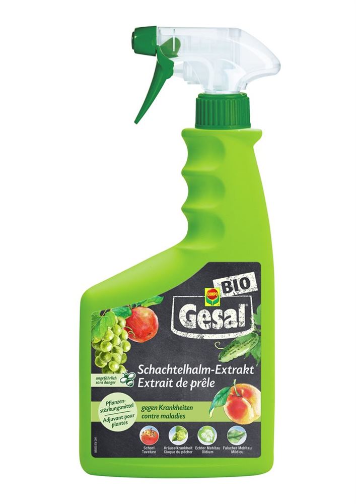 GESAL Extrait de prêle