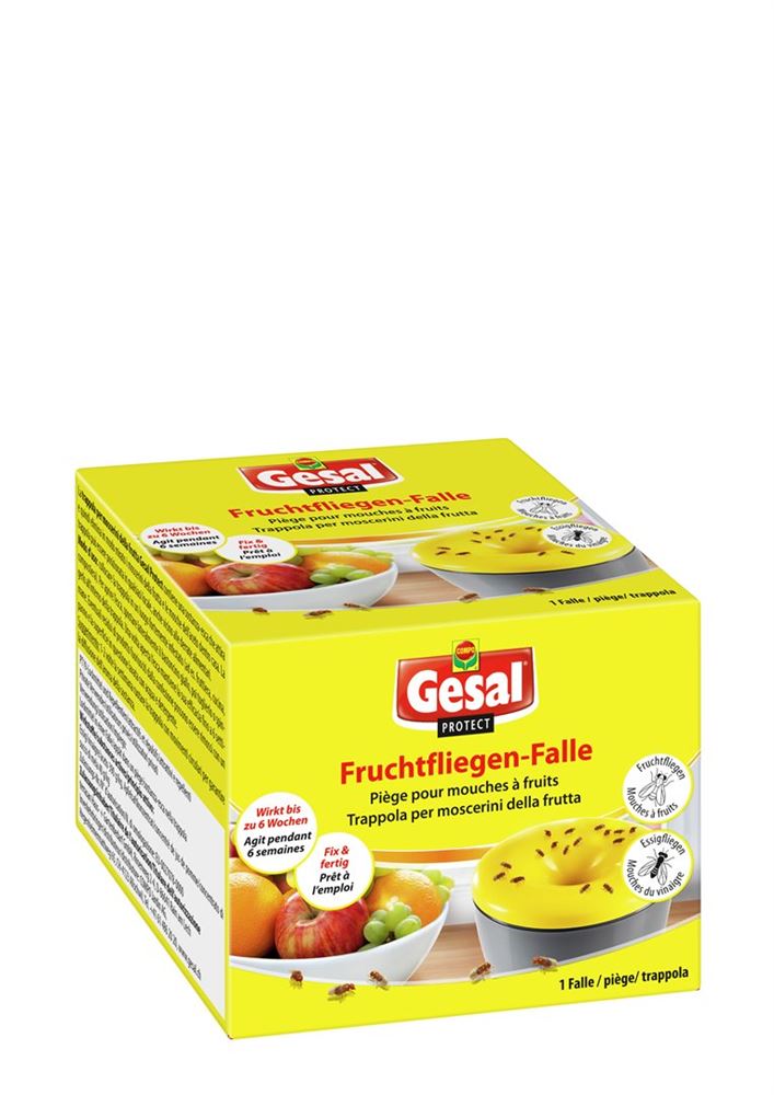 GESAL piège pour mouches à fruits