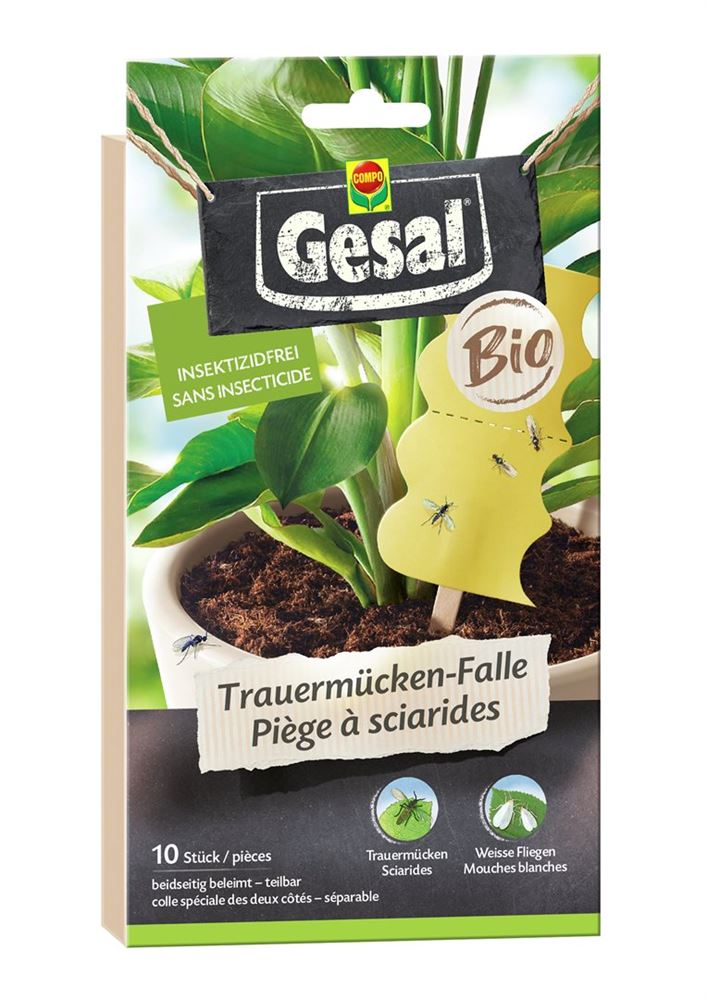 GESAL Trauermücken-Falle