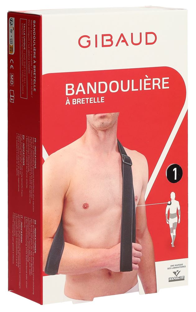 Gibaud Armschlinge, Hauptbild
