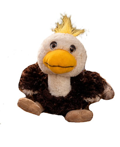 HABIBI bébé aigle