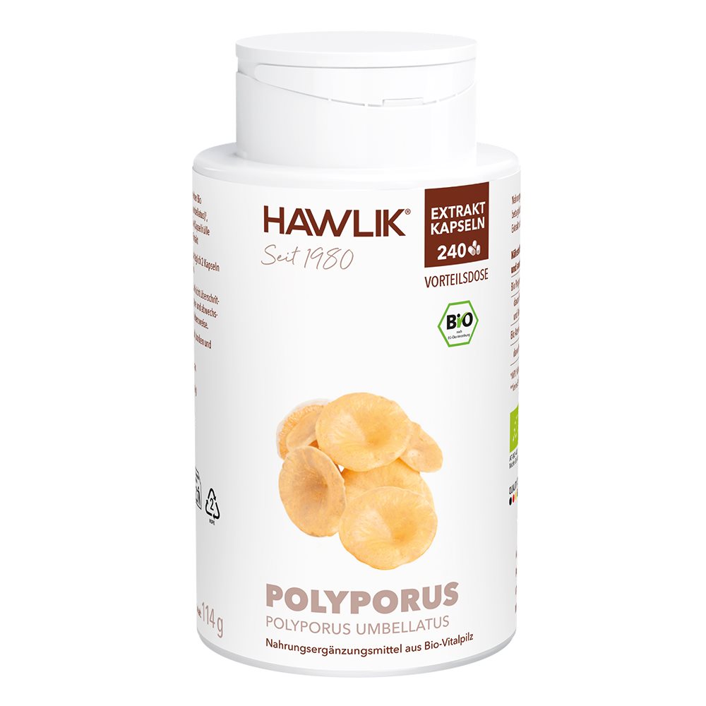 HAWLIK Polyporus Extrait