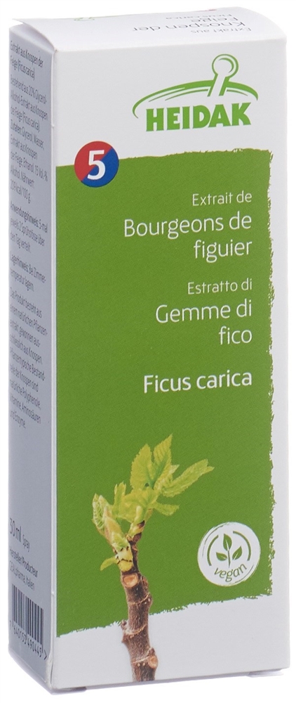 HEIDAK bourgeon ficus carica, image 2 sur 2