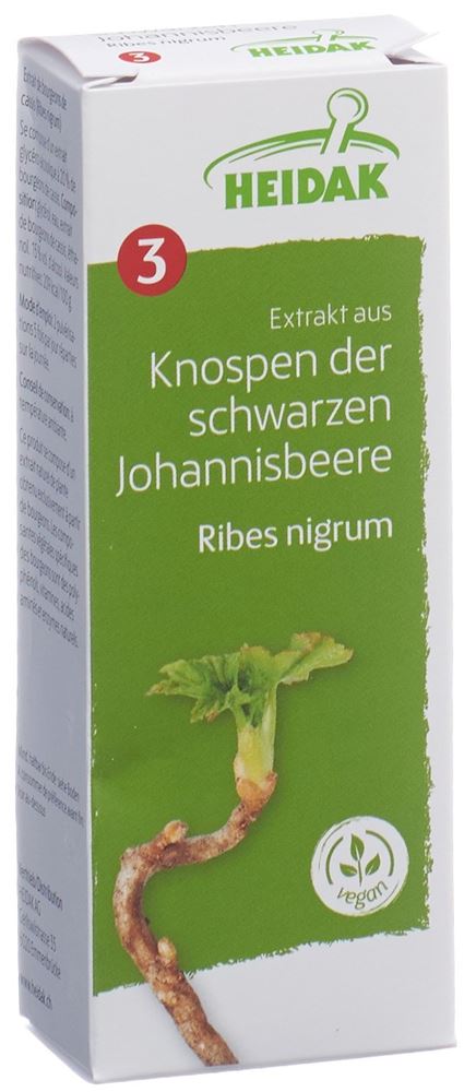 HEIDAK Knospe schwarze Johannisbeere Ribes nigrum