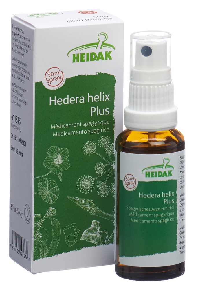 HEIDAK Hedera helix plus, Bild 3 von 5