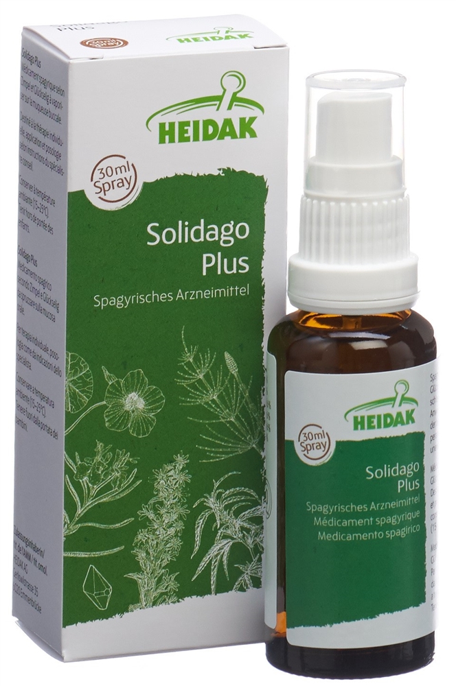 HEIDAK solidago plus, image 2 sur 5