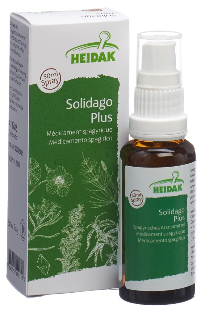 HEIDAK solidago plus, image 3 sur 5