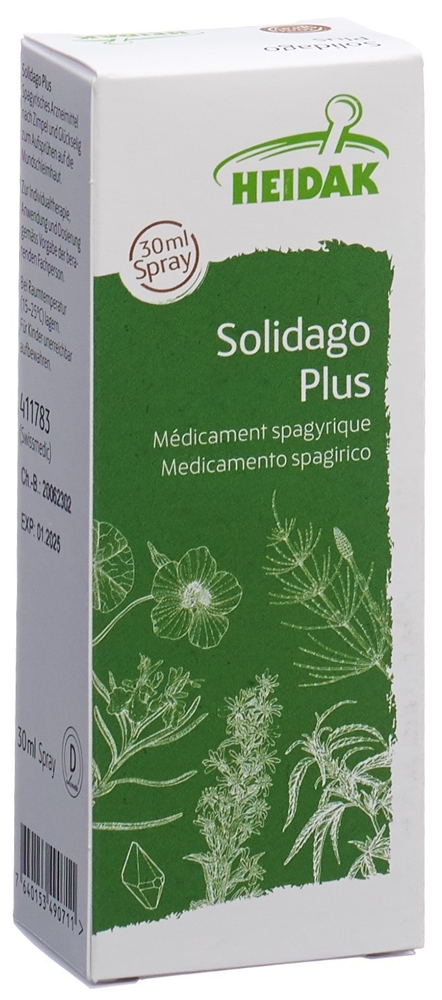 HEIDAK Solidago plus, Bild 4 von 5