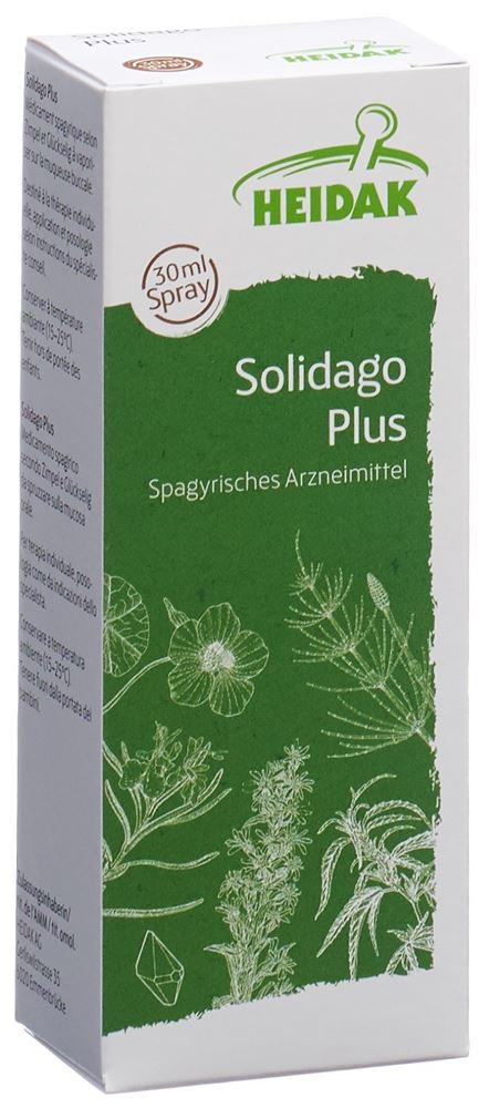 HEIDAK solidago plus, image principale