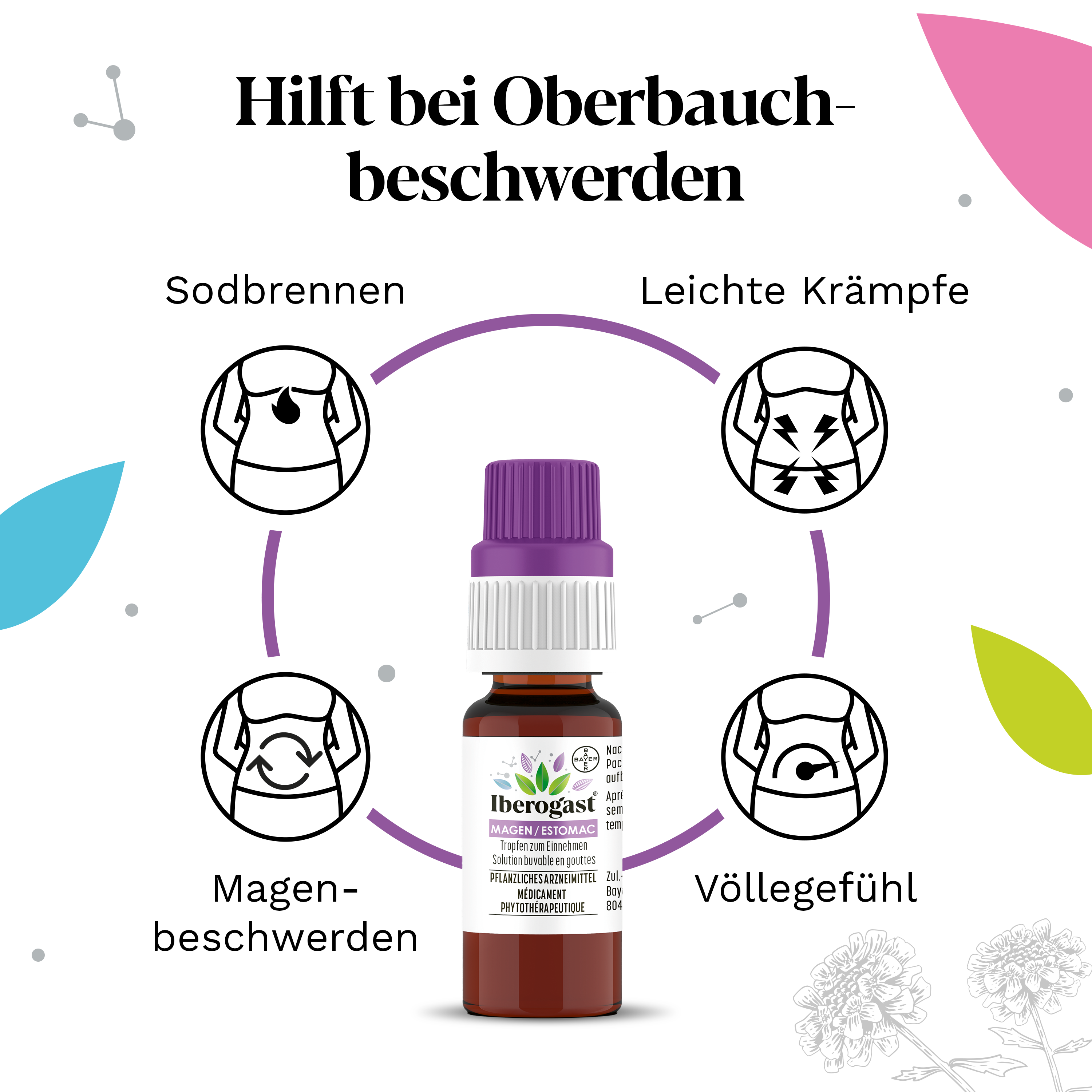 Iberogast Magen, Bild 4 von 5