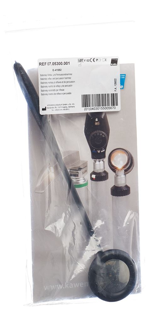 KAWE Reflexhammer Babinsky, Hauptbild