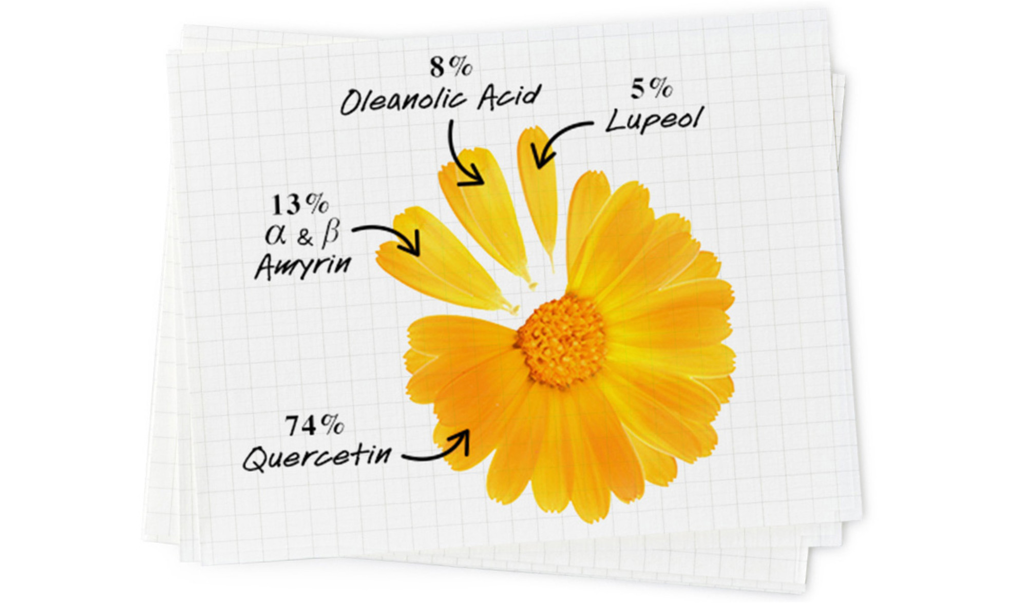 KIEHL'S Calendula Serum, Bild 2 von 5
