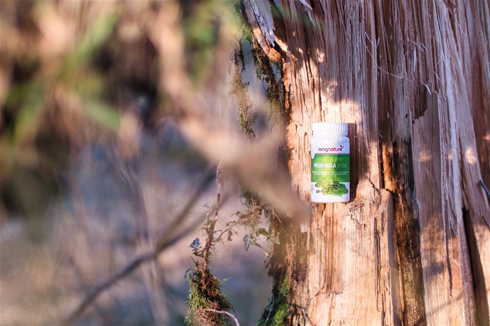 KINGNATURE Moringa Vida (Bio), image 2 sur 4