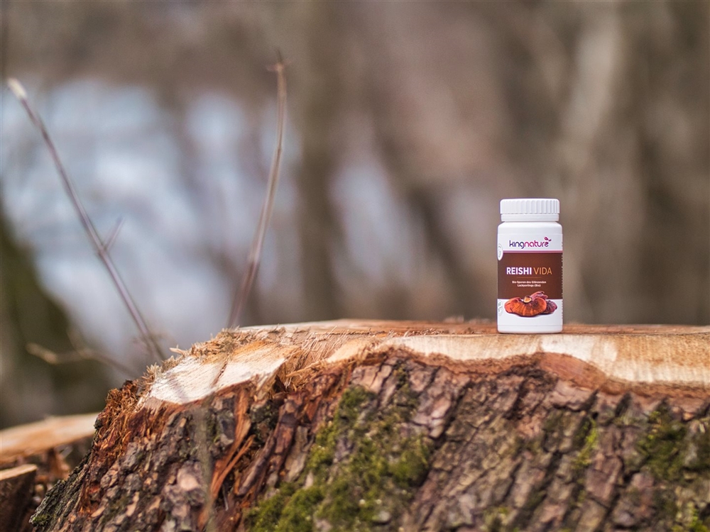 KINGNATURE REISHI VIDA 300 mg, Bild 2 von 4