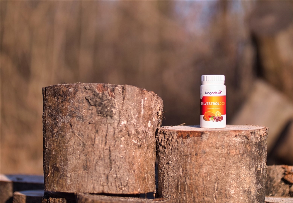 KINGNATURE Salvestrol Vida 2000 200 mg, image 2 sur 4