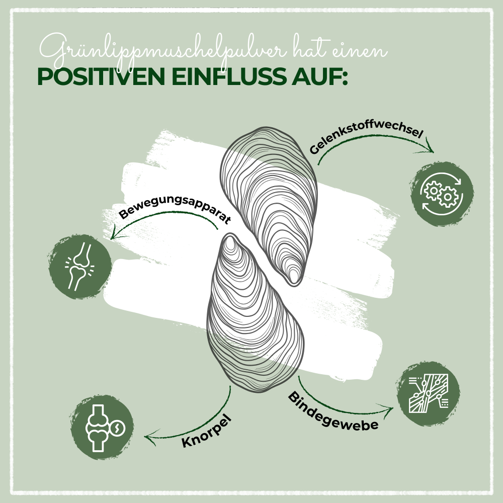 LAPURA poudre de moules aux orle verts, image 4 sur 4