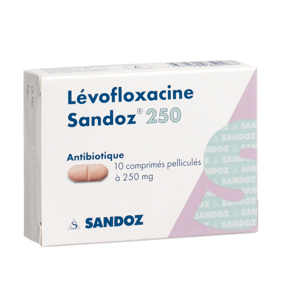 LEVOFLOXACINE Sandoz 250 mg, Bild 2 von 2