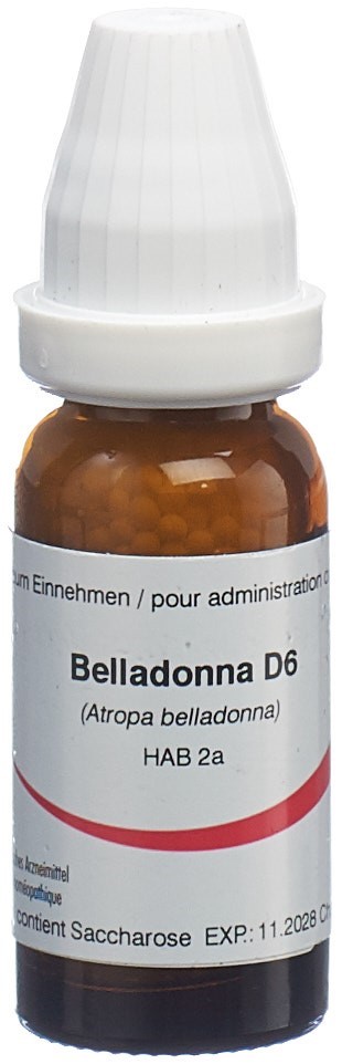 Omida belladonna 6 D, image principale