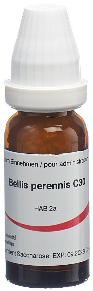 Omida Bellis perennis 30 C