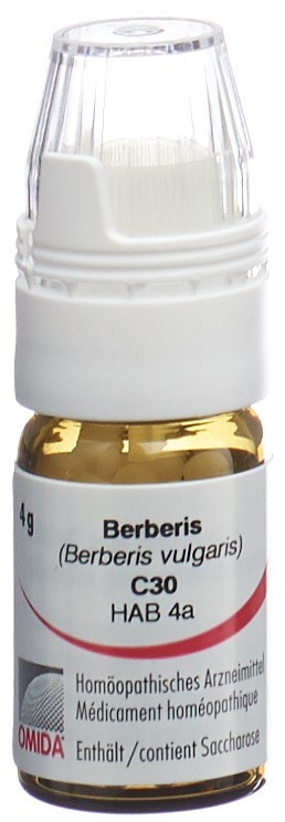Omida Berberis 30 C, Hauptbild