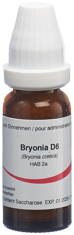 Omida bryonia 6 D, image principale