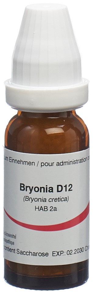 , immagine principale