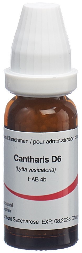 Omida cantharis 6 D, image principale