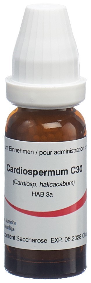 Omida cardiospermum 30 C, image principale