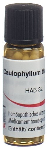 Omida caulophyllum thalictroides 30 C, image principale